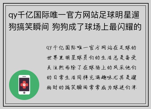 qy千亿国际唯一官方网站足球明星遛狗搞笑瞬间 狗狗成了球场上最闪耀的明星